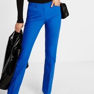Express calumnist dressy pants
